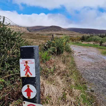 Eden كاستلماين