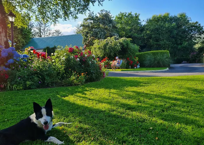 Апартаменты Eden *